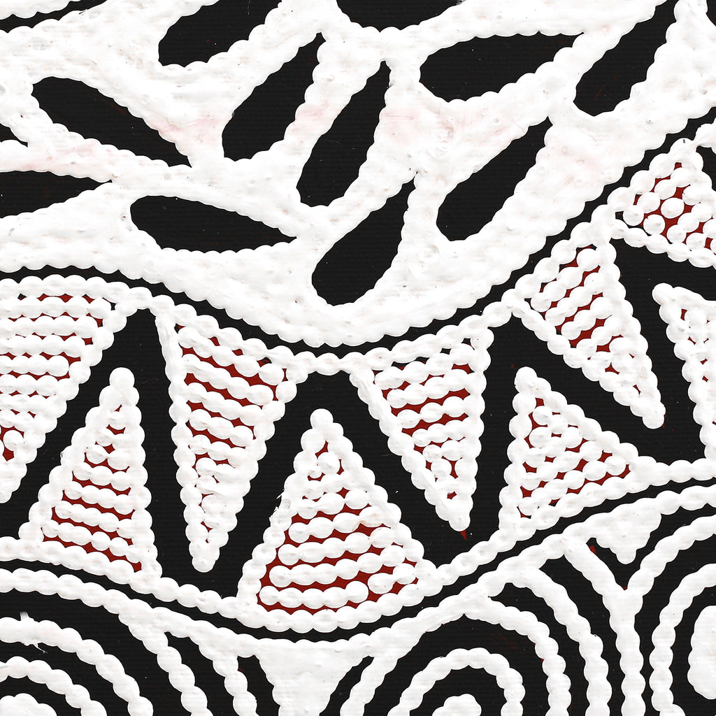 Aboriginal Artwork by Ursula Napangardi Hudson, Pikilyi Jukurrpa (Vaughan Springs Dreaming), 30x30cm