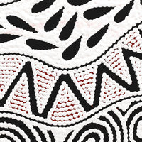 Aboriginal Artwork by Ursula Napangardi Hudson, Pikilyi Jukurrpa (Vaughan Springs Dreaming), 30x30cm