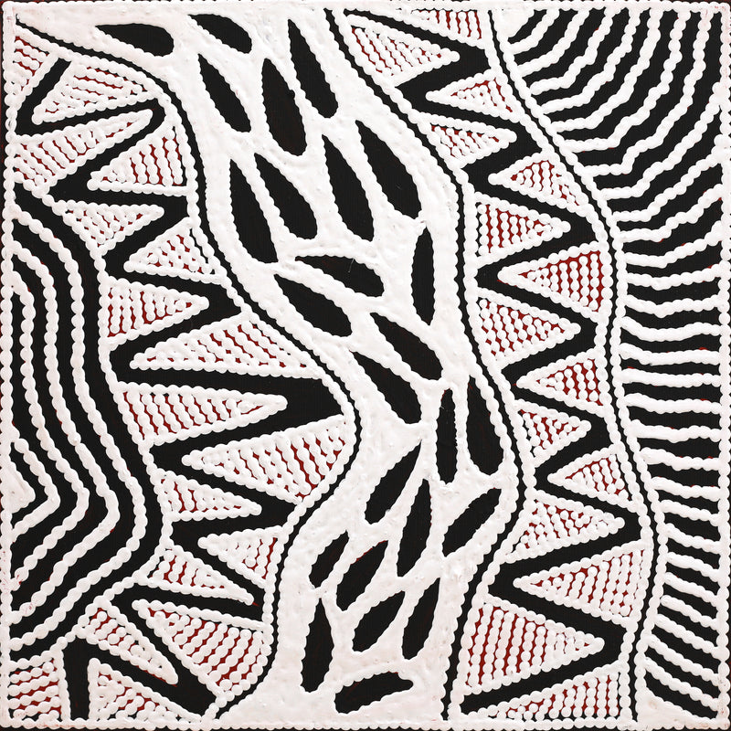 Aboriginal Artwork by Ursula Napangardi Hudson, Pikilyi Jukurrpa (Vaughan Springs Dreaming), 30x30cm