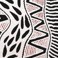 Aboriginal Artwork by Ursula Napangardi Hudson, Pikilyi Jukurrpa (Vaughan Springs Dreaming), 30x30cm