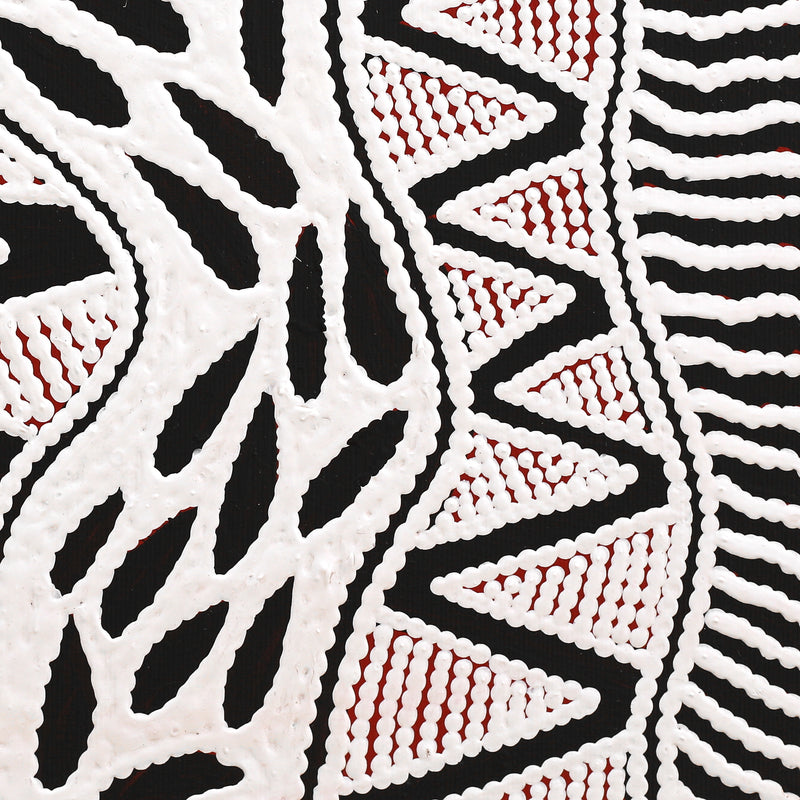 Aboriginal Artwork by Ursula Napangardi Hudson, Pikilyi Jukurrpa (Vaughan Springs Dreaming), 30x30cm