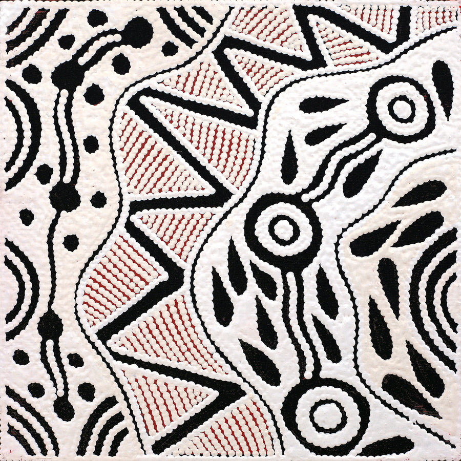 Aboriginal Artwork by Ursula Napangardi Hudson, Pikilyi Jukurrpa (Vaughan Springs Dreaming), 30x30cm