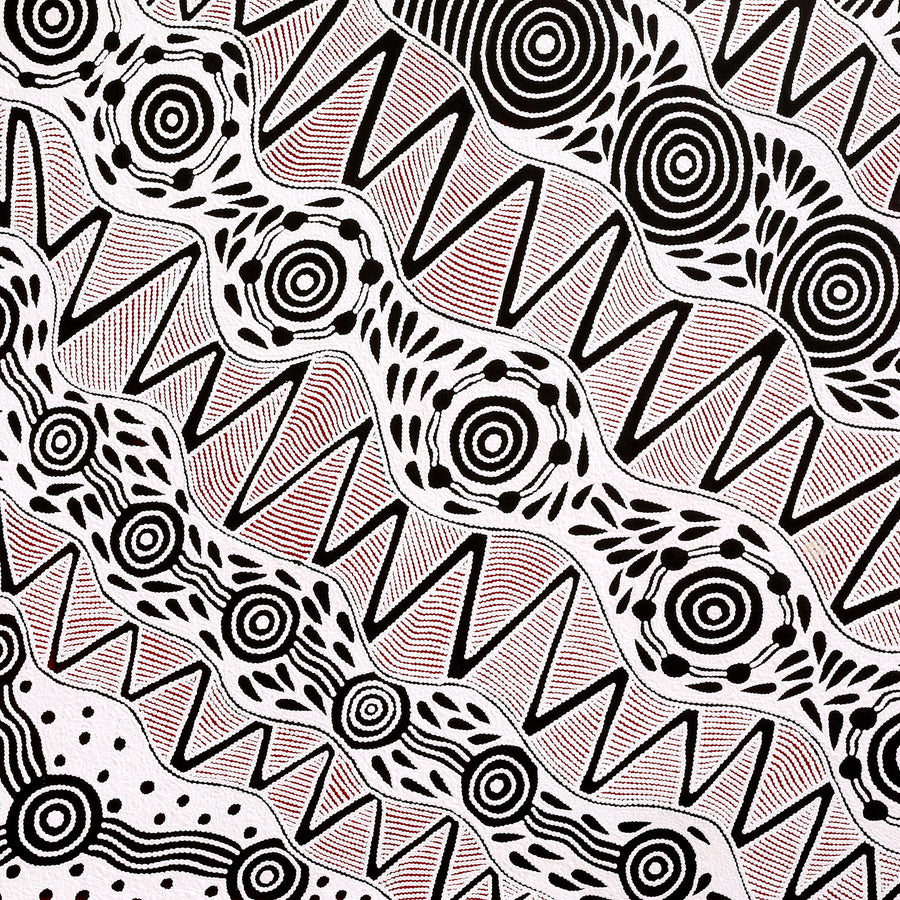 Aboriginal Artwork by Ursula Napangardi Hudson, Pikilyi Jukurrpa (Vaughan Springs Dreaming), 183x91cm