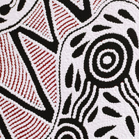 Aboriginal Artwork by Ursula Napangardi Hudson, Pikilyi Jukurrpa (Vaughan Springs Dreaming), 183x91cm