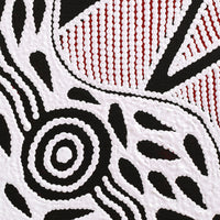 Aboriginal Art by Ursula Napangardi Hudson, Pikilyi Jukurrpa (Vaughan Springs Dreaming), 183x91cm - ART ARK®