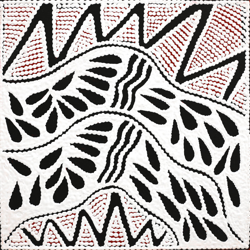 Aboriginal Artwork by Ursula Napangardi Hudson, Pikilyi Jukurrpa (Vaughan Springs Dreaming), 30x30cm