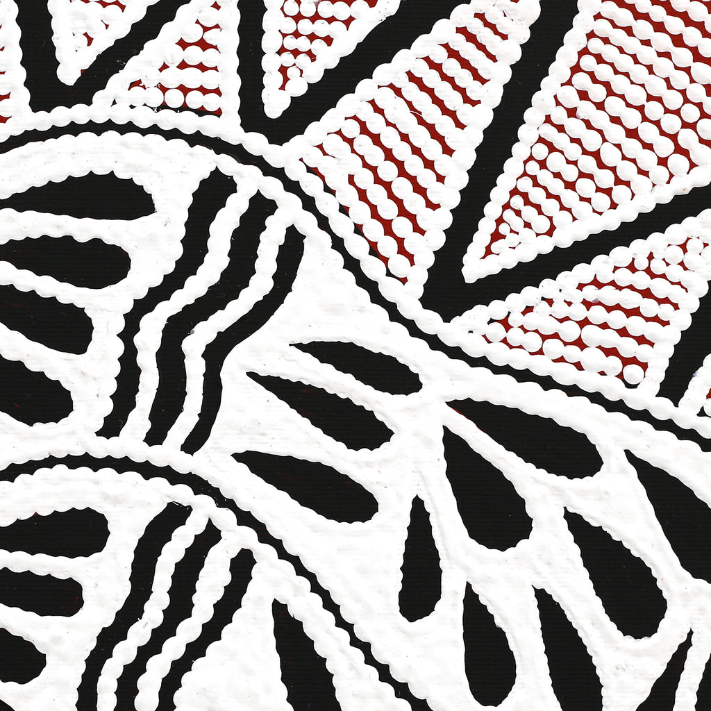 Aboriginal Artwork by Ursula Napangardi Hudson, Pikilyi Jukurrpa (Vaughan Springs Dreaming), 30x30cm