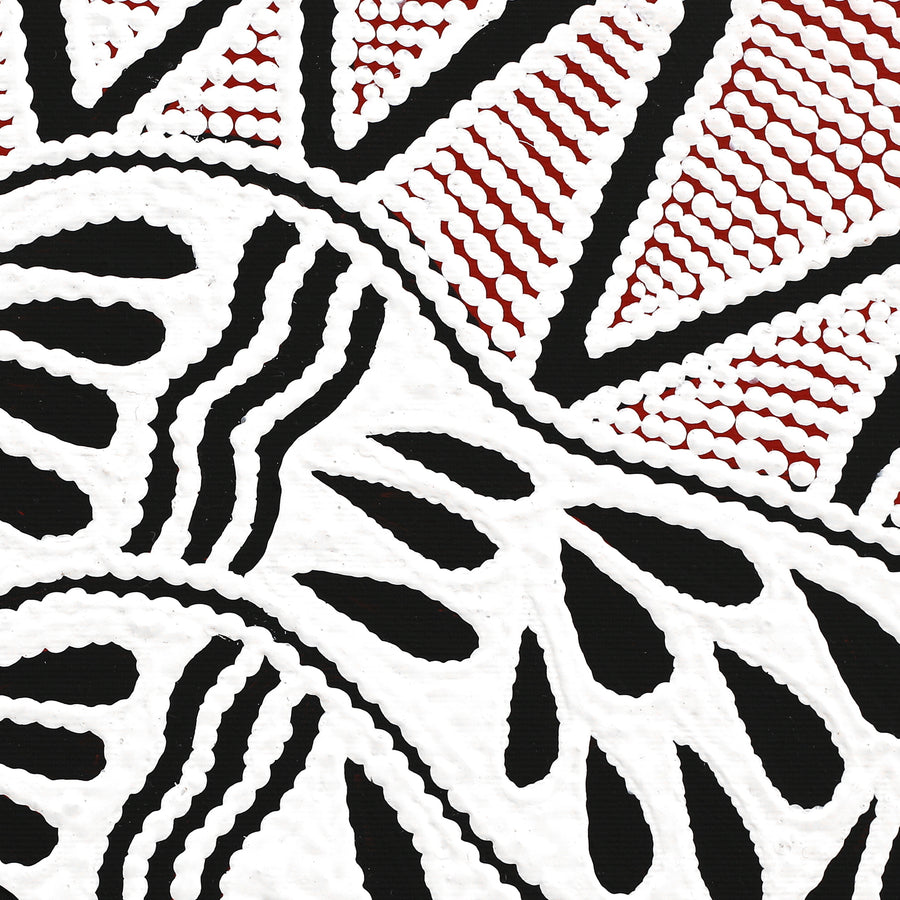 Aboriginal Artwork by Ursula Napangardi Hudson, Pikilyi Jukurrpa (Vaughan Springs Dreaming), 30x30cm