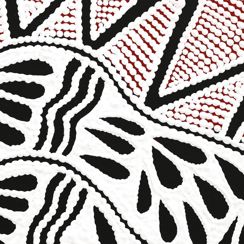 Aboriginal Artwork by Ursula Napangardi Hudson, Pikilyi Jukurrpa (Vaughan Springs Dreaming), 30x30cm