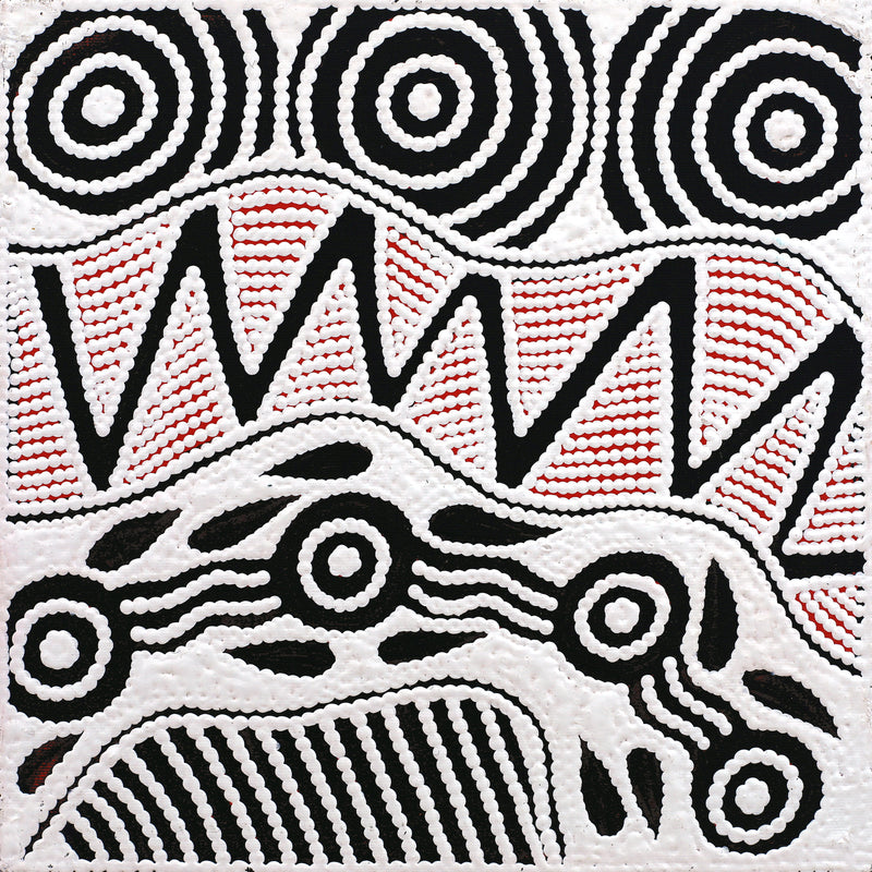 Aboriginal Artwork by Ursula Napangardi Hudson, Pikilyi Jukurrpa (Vaughan Springs Dreaming), 30x30cm