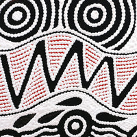 Aboriginal Artwork by Ursula Napangardi Hudson, Pikilyi Jukurrpa (Vaughan Springs Dreaming), 30x30cm