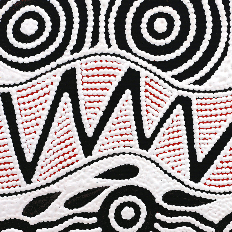 Aboriginal Artwork by Ursula Napangardi Hudson, Pikilyi Jukurrpa (Vaughan Springs Dreaming), 30x30cm