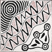 Aboriginal Artwork by Ursula Napangardi Hudson, Pikilyi Jukurrpa (Vaughan Springs Dreaming), 30x30cm