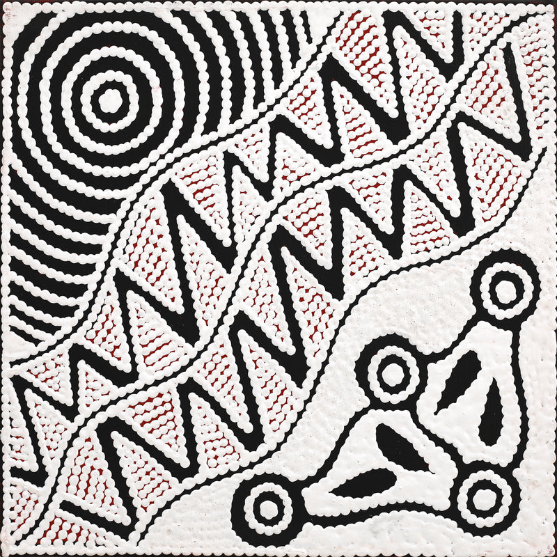 Aboriginal Artwork by Ursula Napangardi Hudson, Pikilyi Jukurrpa (Vaughan Springs Dreaming), 30x30cm