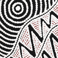Aboriginal Artwork by Ursula Napangardi Hudson, Pikilyi Jukurrpa (Vaughan Springs Dreaming), 30x30cm