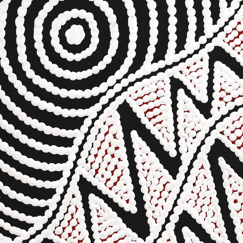 Aboriginal Artwork by Ursula Napangardi Hudson, Pikilyi Jukurrpa (Vaughan Springs Dreaming), 30x30cm