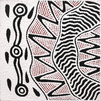 Aboriginal Artwork by Ursula Napangardi Hudson, Pikilyi Jukurrpa (Vaughan Springs Dreaming), 30x30cm