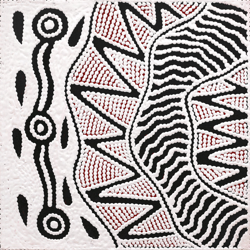 Aboriginal Artwork by Ursula Napangardi Hudson, Pikilyi Jukurrpa (Vaughan Springs Dreaming), 30x30cm