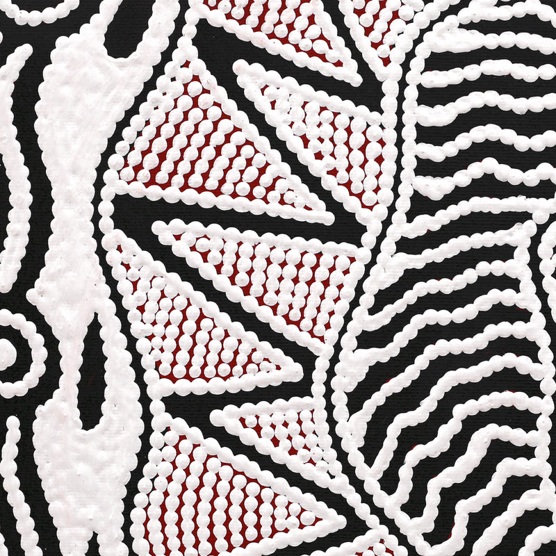Aboriginal Artwork by Ursula Napangardi Hudson, Pikilyi Jukurrpa (Vaughan Springs Dreaming), 30x30cm