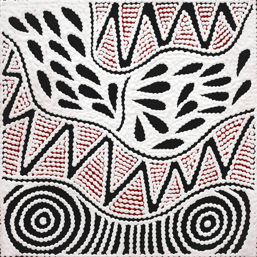 Aboriginal Artwork by Ursula Napangardi Hudson, Pikilyi Jukurrpa (Vaughan Springs Dreaming), 30x30cm