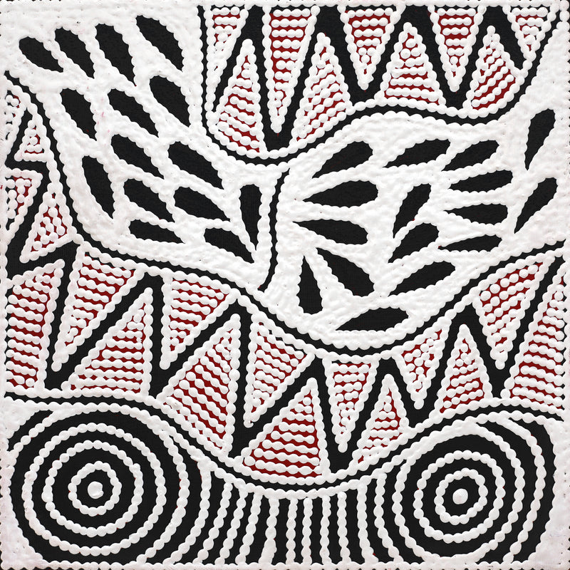Aboriginal Artwork by Ursula Napangardi Hudson, Pikilyi Jukurrpa (Vaughan Springs Dreaming), 30x30cm