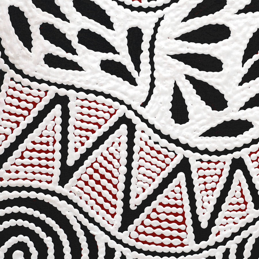 Aboriginal Artwork by Ursula Napangardi Hudson, Pikilyi Jukurrpa (Vaughan Springs Dreaming), 30x30cm