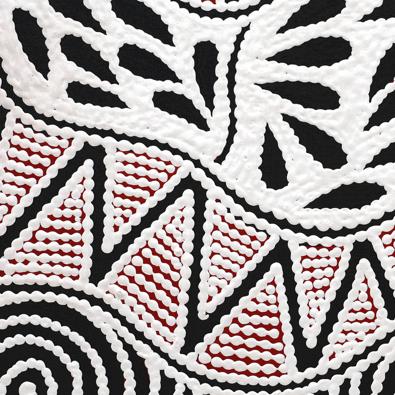 Aboriginal Artwork by Ursula Napangardi Hudson, Pikilyi Jukurrpa (Vaughan Springs Dreaming), 30x30cm