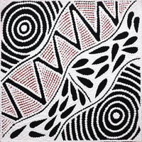 Aboriginal Artwork by Ursula Napangardi Hudson, Pikilyi Jukurrpa (Vaughan Springs Dreaming), 30x30cm