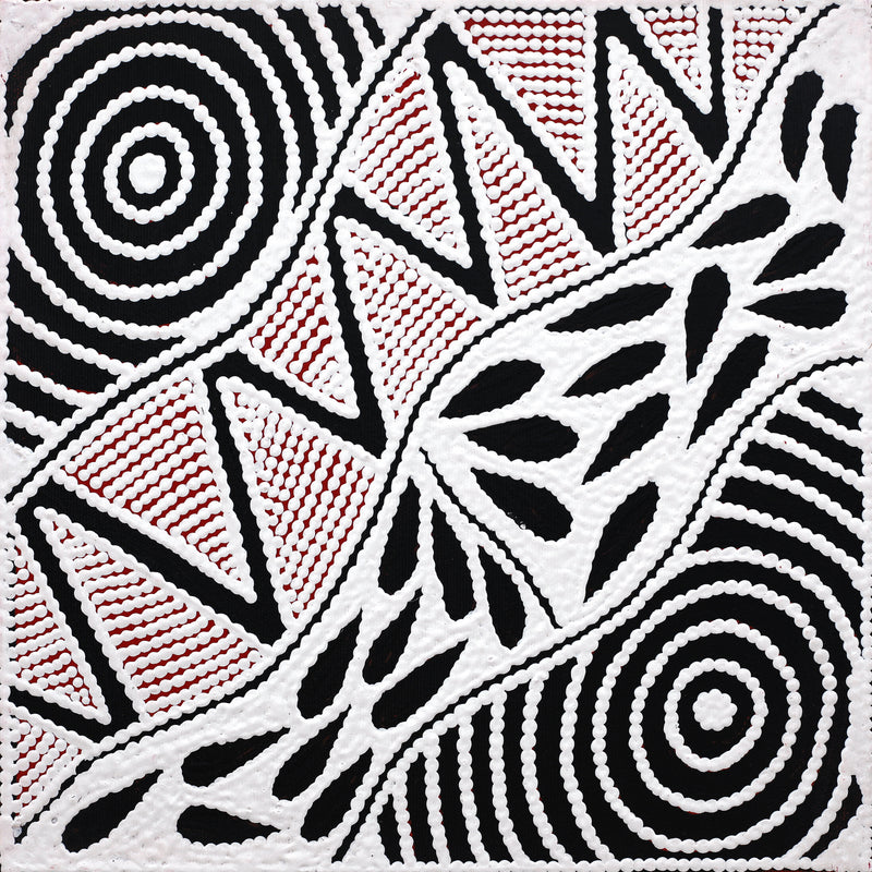 Aboriginal Artwork by Ursula Napangardi Hudson, Pikilyi Jukurrpa (Vaughan Springs Dreaming), 30x30cm