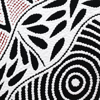 Aboriginal Artwork by Ursula Napangardi Hudson, Pikilyi Jukurrpa (Vaughan Springs Dreaming), 30x30cm