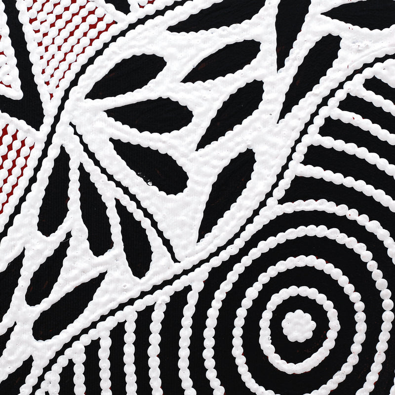Aboriginal Artwork by Ursula Napangardi Hudson, Pikilyi Jukurrpa (Vaughan Springs Dreaming), 30x30cm