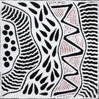 Aboriginal Artwork by Ursula Napangardi Hudson, Pikilyi Jukurrpa (Vaughan Springs Dreaming), 30x30cm