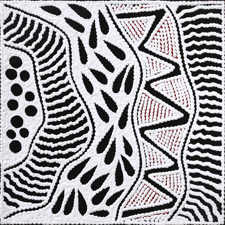 Aboriginal Artwork by Ursula Napangardi Hudson, Pikilyi Jukurrpa (Vaughan Springs Dreaming), 30x30cm