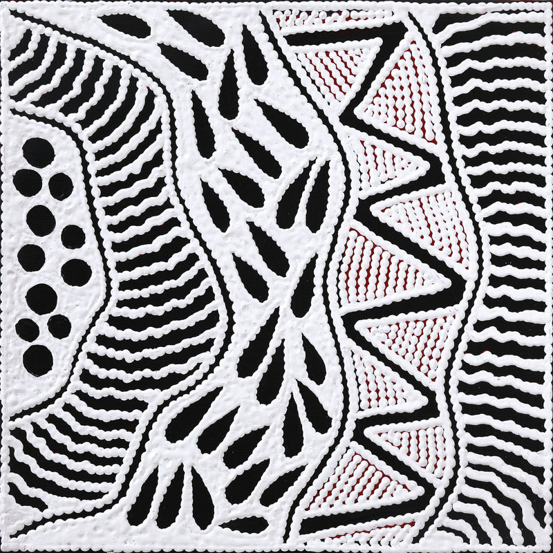 Aboriginal Artwork by Ursula Napangardi Hudson, Pikilyi Jukurrpa (Vaughan Springs Dreaming), 30x30cm