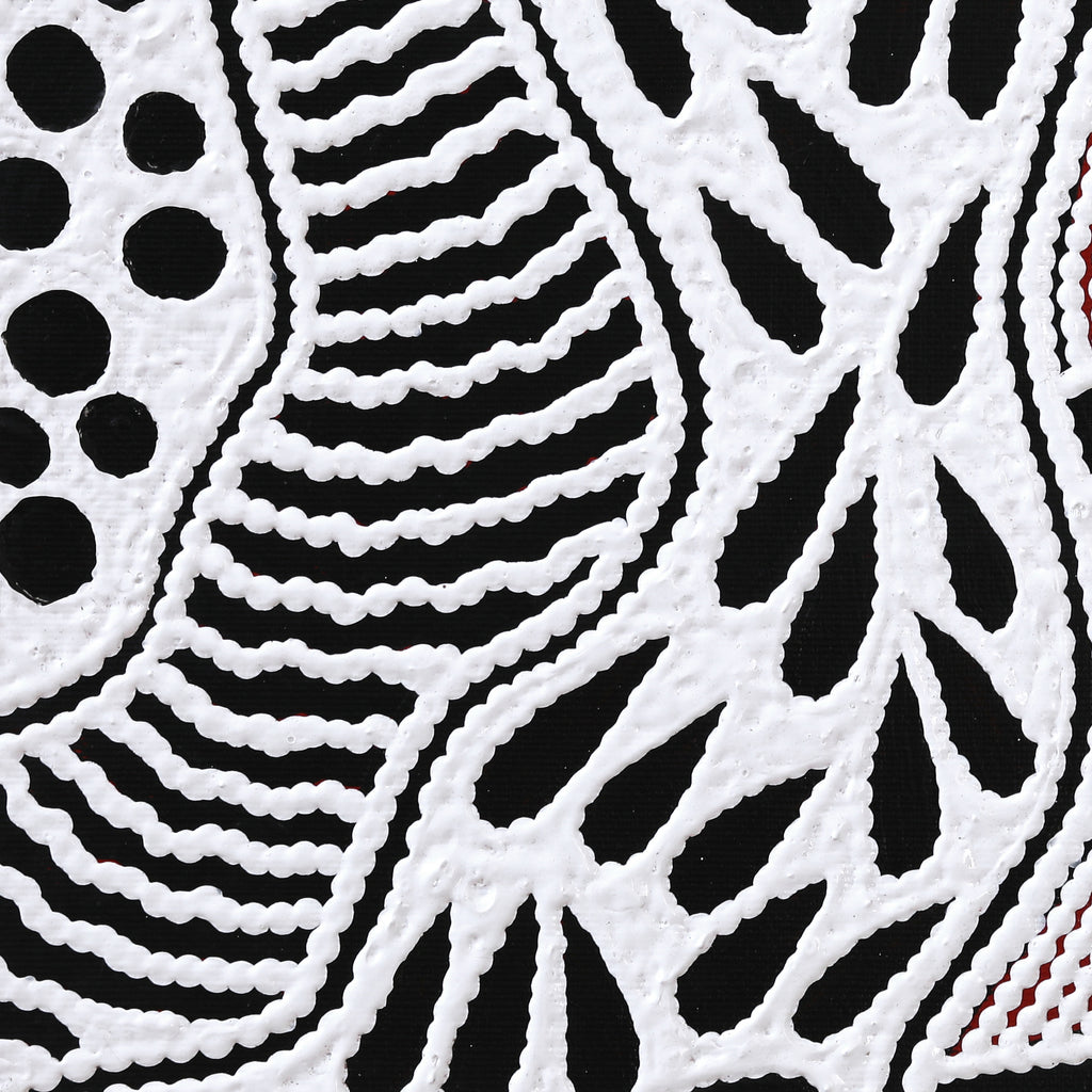 Aboriginal Artwork by Ursula Napangardi Hudson, Pikilyi Jukurrpa (Vaughan Springs Dreaming), 30x30cm