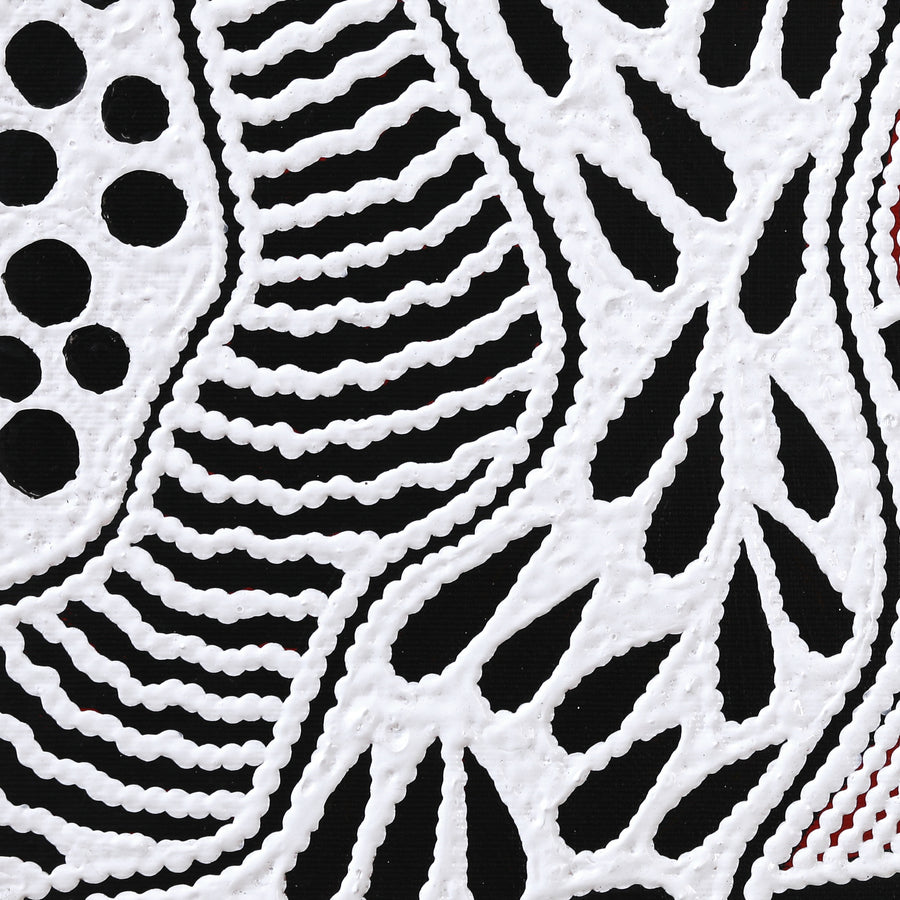 Aboriginal Artwork by Ursula Napangardi Hudson, Pikilyi Jukurrpa (Vaughan Springs Dreaming), 30x30cm