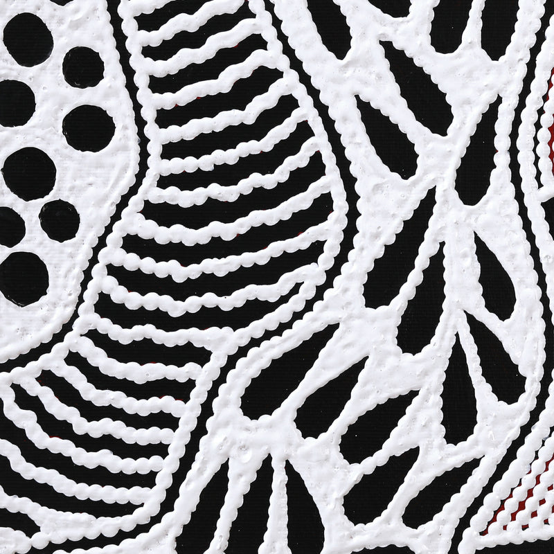 Aboriginal Artwork by Ursula Napangardi Hudson, Pikilyi Jukurrpa (Vaughan Springs Dreaming), 30x30cm