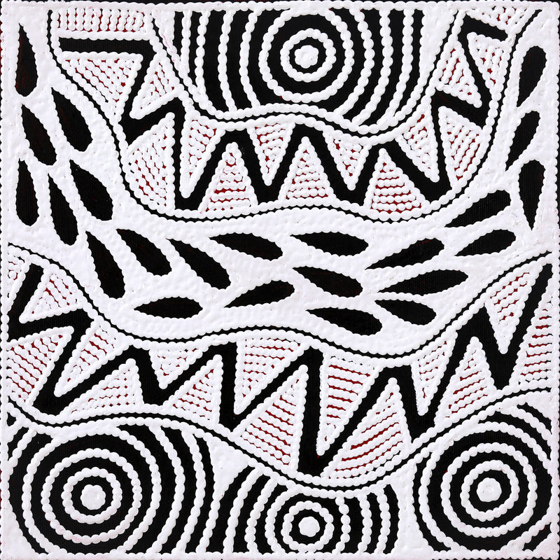 Aboriginal Artwork by Ursula Napangardi Hudson, Pikilyi Jukurrpa (Vaughan Springs Dreaming), 30x30cm