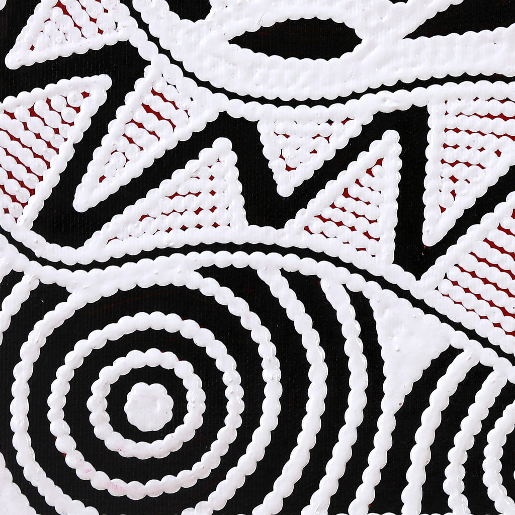 Aboriginal Artwork by Ursula Napangardi Hudson, Pikilyi Jukurrpa (Vaughan Springs Dreaming), 30x30cm