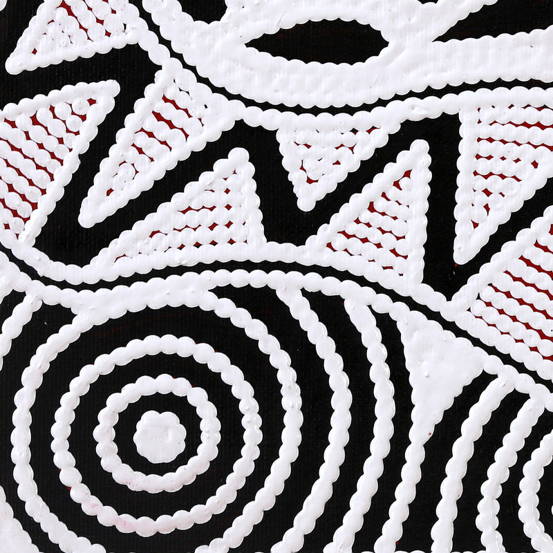 Aboriginal Artwork by Ursula Napangardi Hudson, Pikilyi Jukurrpa (Vaughan Springs Dreaming), 30x30cm