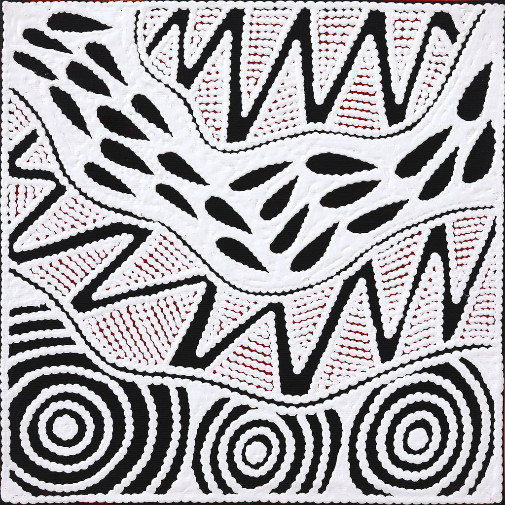 Aboriginal Artwork by Ursula Napangardi Hudson, Pikilyi Jukurrpa (Vaughan Springs Dreaming), 30x30cm