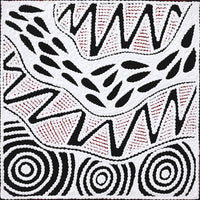 Aboriginal Artwork by Ursula Napangardi Hudson, Pikilyi Jukurrpa (Vaughan Springs Dreaming), 30x30cm
