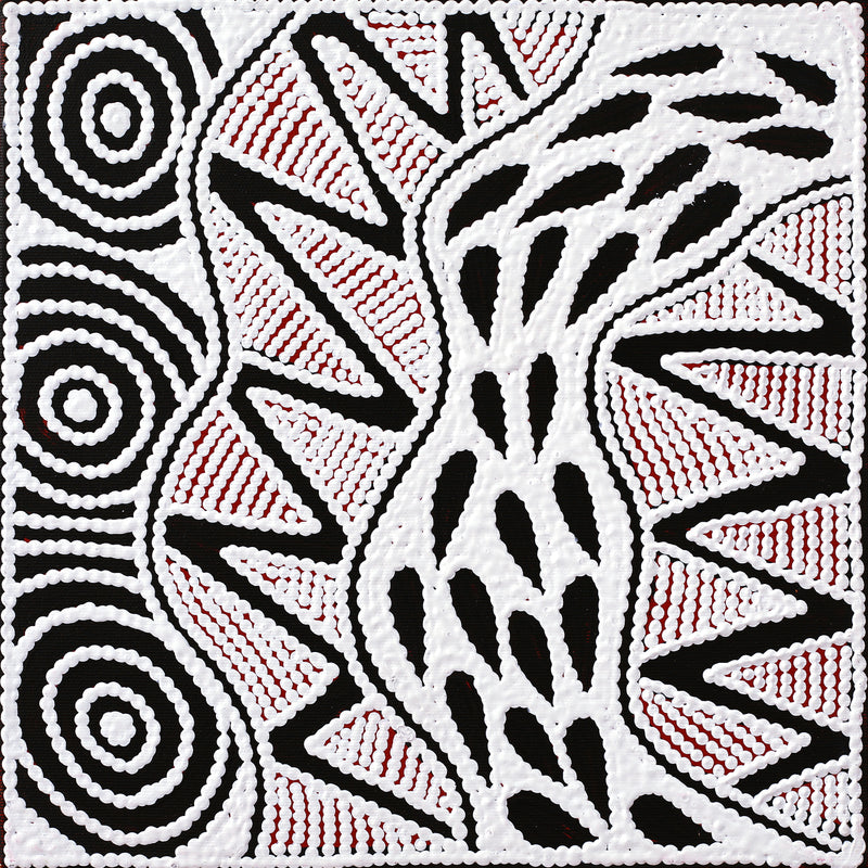 Aboriginal Artwork by Ursula Napangardi Hudson, Pikilyi Jukurrpa (Vaughan Springs Dreaming), 30x30cm