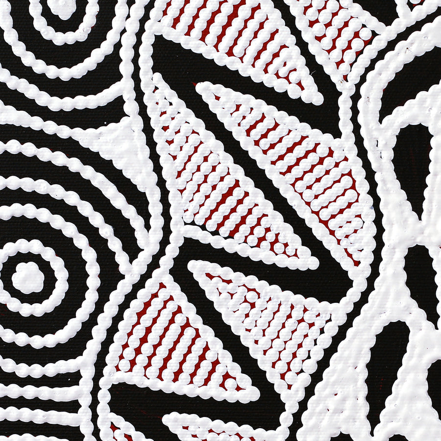 Aboriginal Artwork by Ursula Napangardi Hudson, Pikilyi Jukurrpa (Vaughan Springs Dreaming), 30x30cm