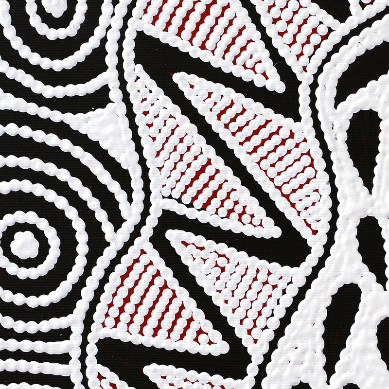 Aboriginal Artwork by Ursula Napangardi Hudson, Pikilyi Jukurrpa (Vaughan Springs Dreaming), 30x30cm