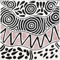 Aboriginal Artwork by Ursula Napangardi Hudson, Pikilyi Jukurrpa (Vaughan Springs Dreaming), 30x30cm