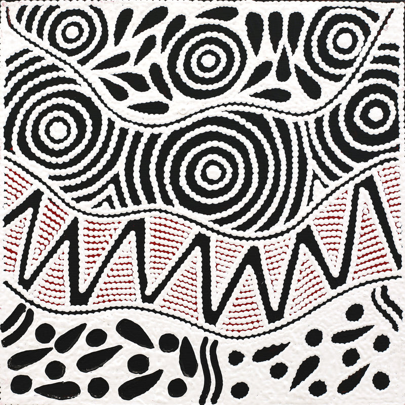 Aboriginal Artwork by Ursula Napangardi Hudson, Pikilyi Jukurrpa (Vaughan Springs Dreaming), 30x30cm