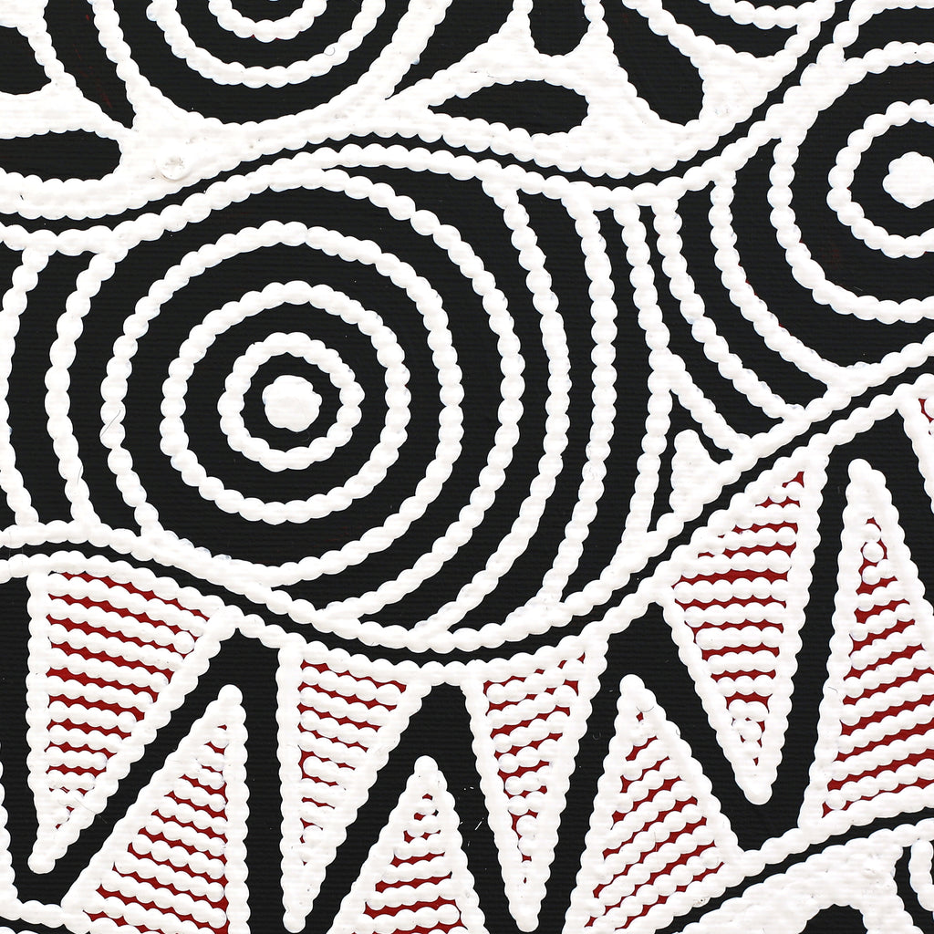 Aboriginal Artwork by Ursula Napangardi Hudson, Pikilyi Jukurrpa (Vaughan Springs Dreaming), 30x30cm