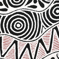 Aboriginal Artwork by Ursula Napangardi Hudson, Pikilyi Jukurrpa (Vaughan Springs Dreaming), 30x30cm