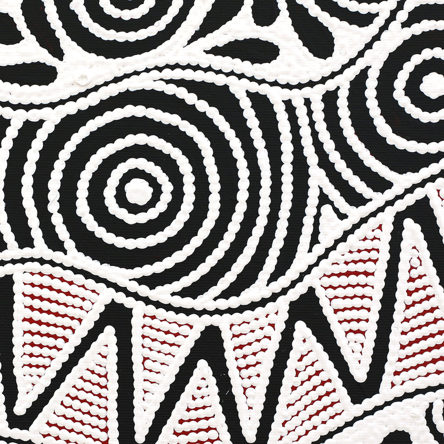 Aboriginal Artwork by Ursula Napangardi Hudson, Pikilyi Jukurrpa (Vaughan Springs Dreaming), 30x30cm